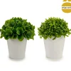 Vaso com folhas curtas 13cm