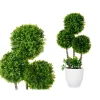 Vaso com planta de bola verde