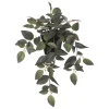 Vaso com planta tradescantia verde