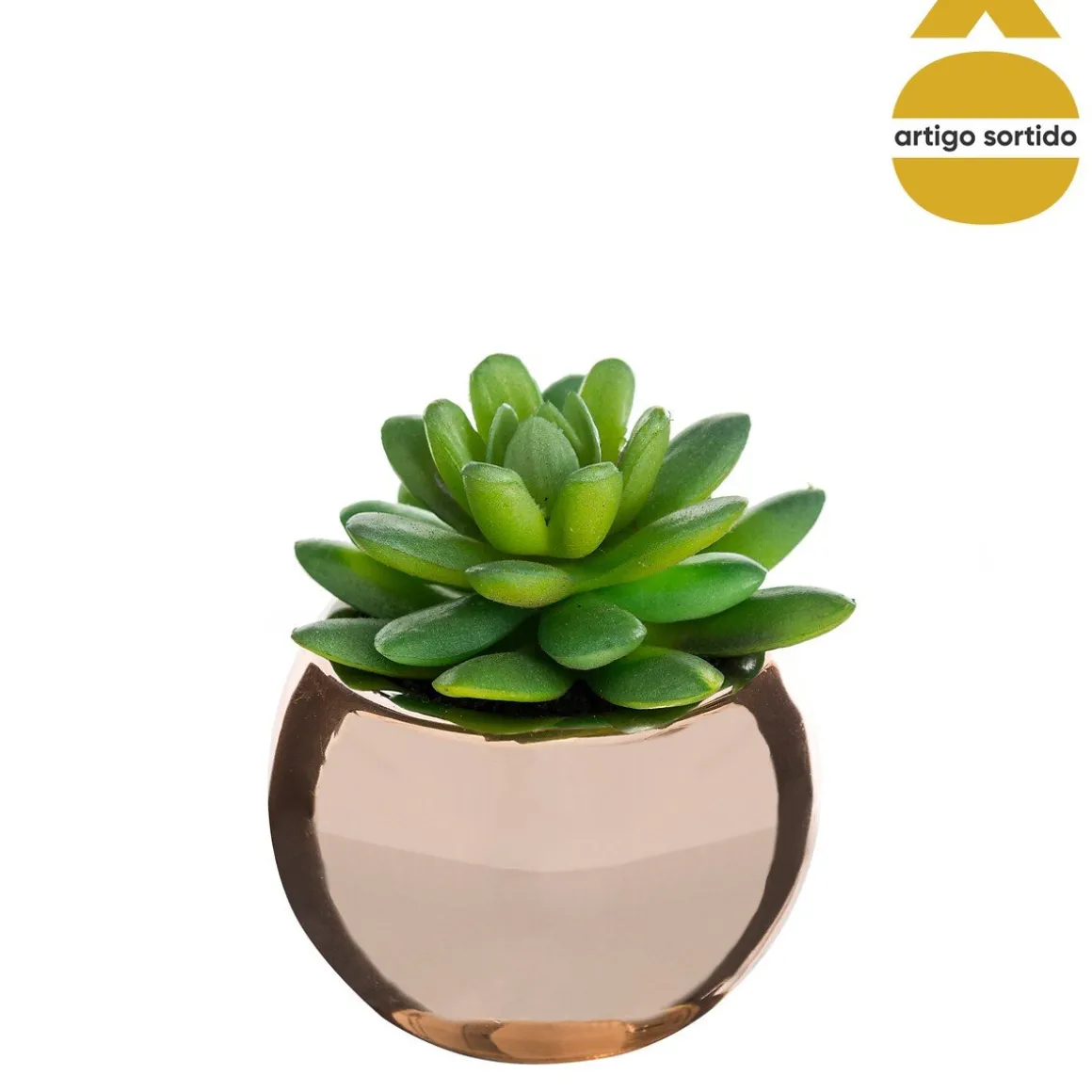Vaso de cerâmica com planta 13,5cm