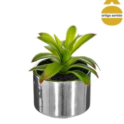 Vaso de cerâmica com planta 13,5cm