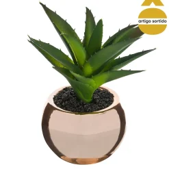 Vaso de cerâmica com planta 13,5cm