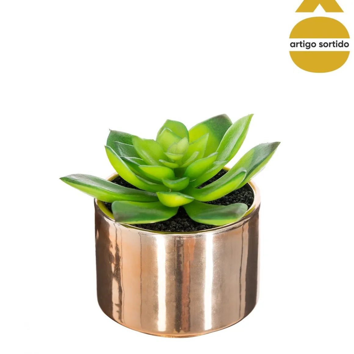 Vaso de cerâmica com planta 13,5cm