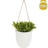 Vaso de cerâmica suspenso com planta
