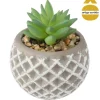 Vaso de cimento cinza com cato 9cm