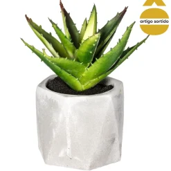 Vaso de cimento com planta 17cm