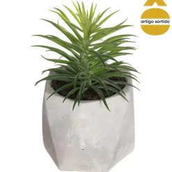 Vaso de cimento com planta 17cm