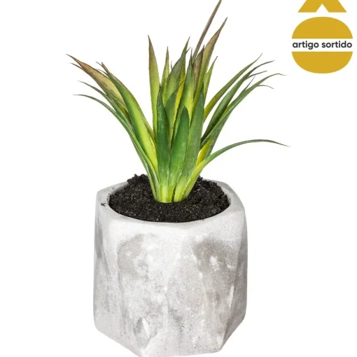Vaso de cimento com planta 17cm