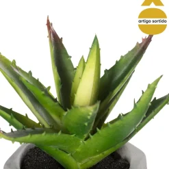 Vaso de cimento com planta 17cm