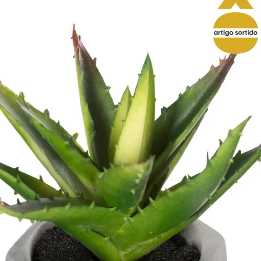 Vaso de cimento com planta 17cm