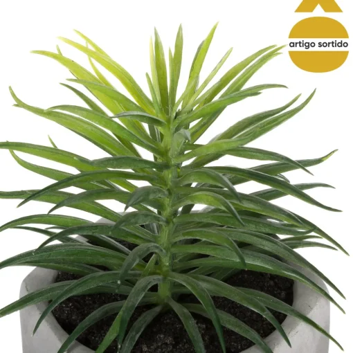 Vaso de cimento com planta 17cm