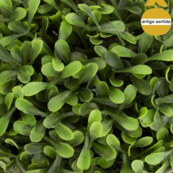 Vaso de cimento com planta ROMANCE 19cm