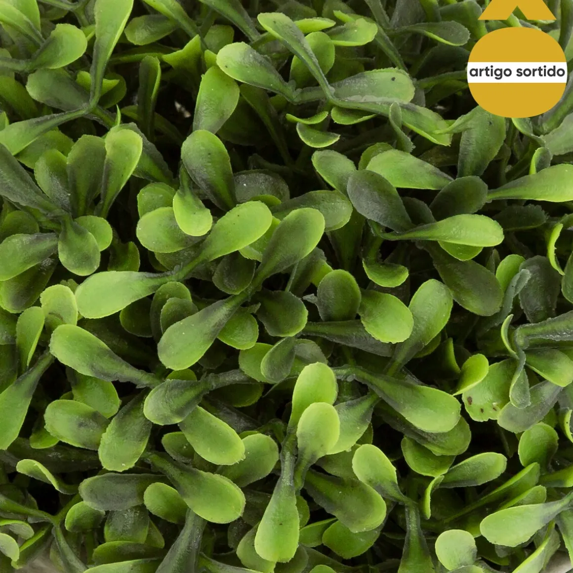 Vaso de cimento com planta ROMANCE 19cm