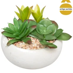 Vaso de cimento com planta 10cm