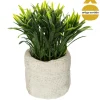 Vaso de cimento com planta 14cm