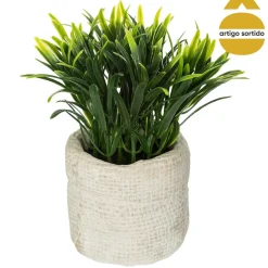 Vaso de cimento com planta 14cm