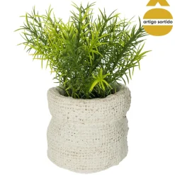 Vaso de cimento com planta 14cm