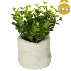 Vaso de cimento com planta 14cm