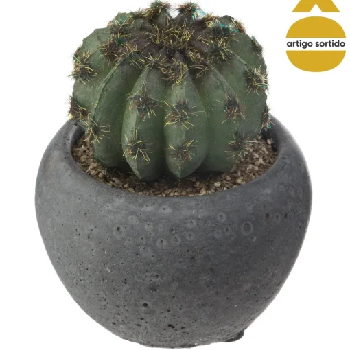 Vaso de cimento preto com cato 8cm