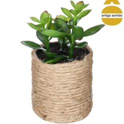 Vaso de corda com planta 15cm