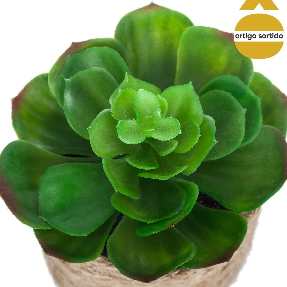 Vaso de corda com planta 15cm