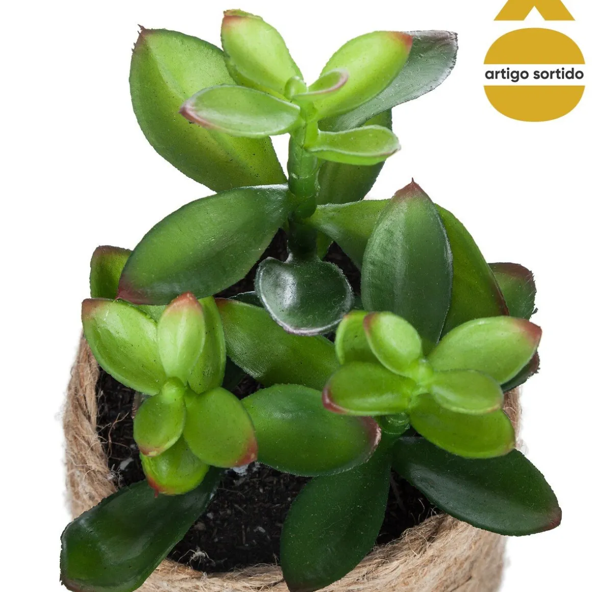 Vaso de corda com planta 15cm