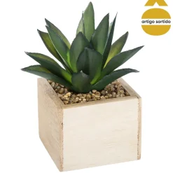Vaso de madeira com planta 15cm