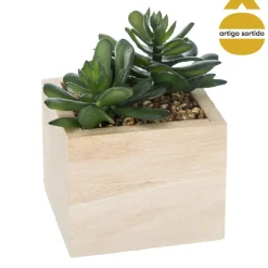 Vaso de madeira com planta 15cm