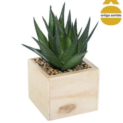 Vaso de madeira com planta 15cm