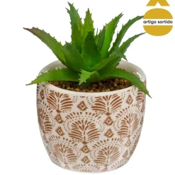 Vaso de porcelana com planta 9cm