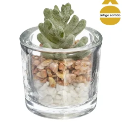 Vaso de vidro com planta 10cm