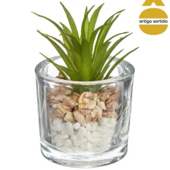 Vaso de vidro com planta 10cm