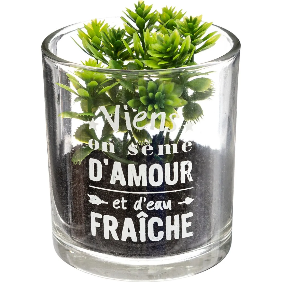 Vaso de vidro com planta 9,5x7cm