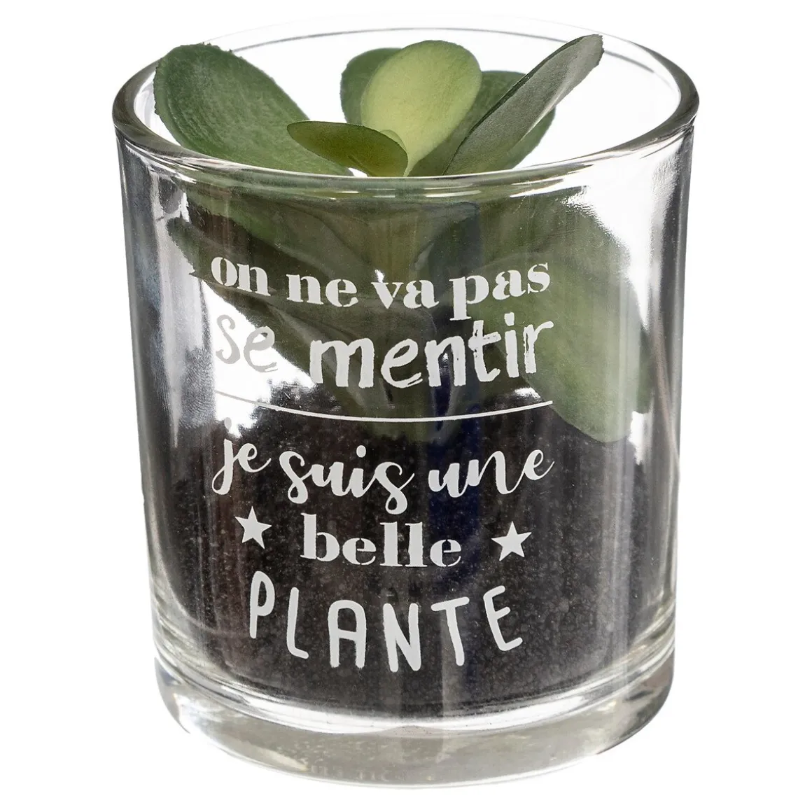 Vaso de vidro com planta 9,5x7cm