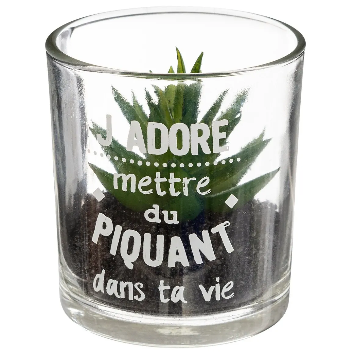 Vaso de vidro com planta 9,5x7cm