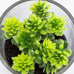 Vaso de vidro com planta 9,5x7cm