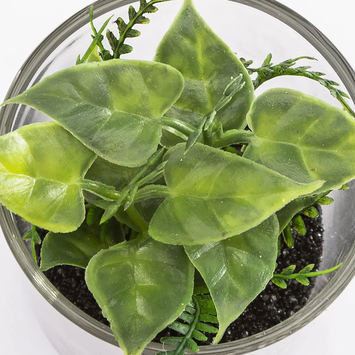 Vaso de vidro com planta 9,5x7cm