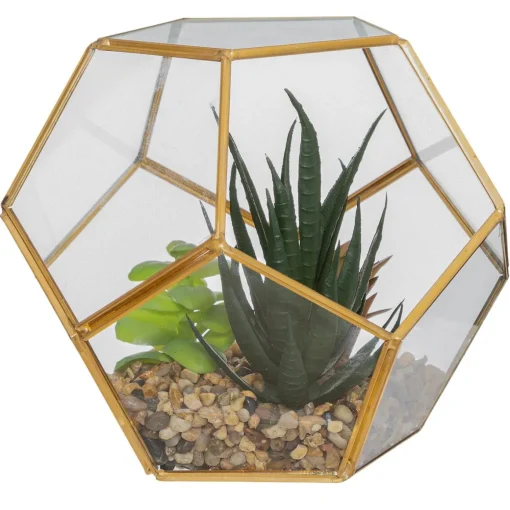 Vaso de vidro com planta 14cm