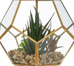 Vaso de vidro com planta 14cm