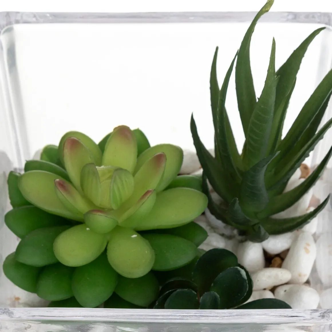 Vaso de vidro com planta 15cm