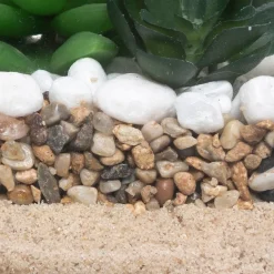 Vaso de vidro com planta 15cm