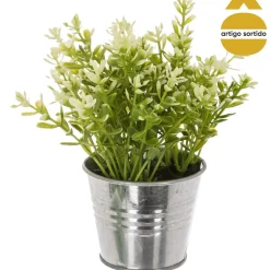 Vaso de zinco com planta 15cm