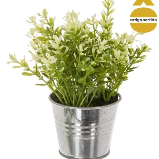 Vaso de zinco com planta 15cm