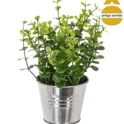 Vaso de zinco com planta 15cm