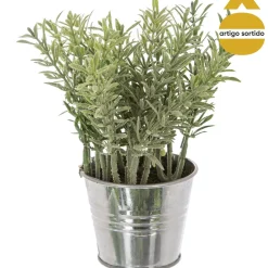 Vaso de zinco com planta 15cm