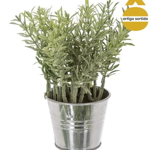 Vaso de zinco com planta 15cm