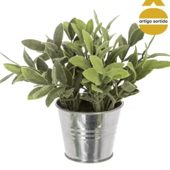 Vaso de zinco com planta 15cm