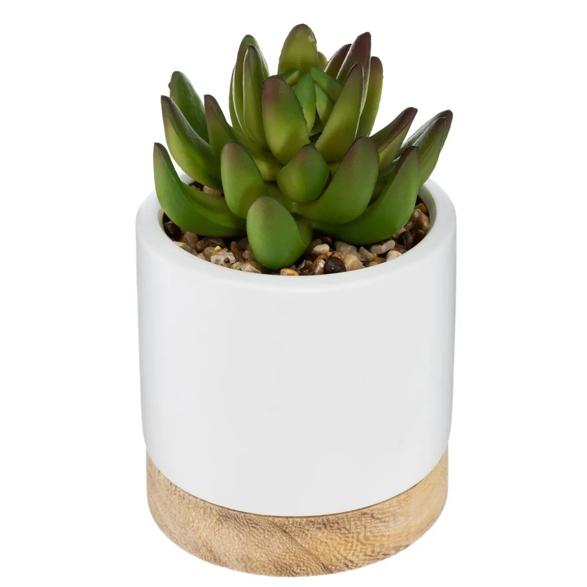 Vaso em cerâmica com suculenta 12cm