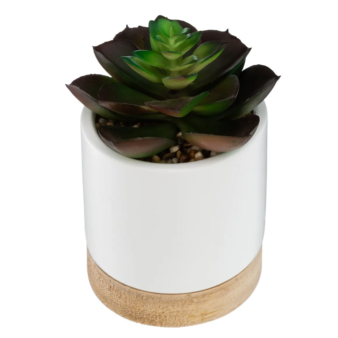 Vaso em cerâmica com suculenta 12cm