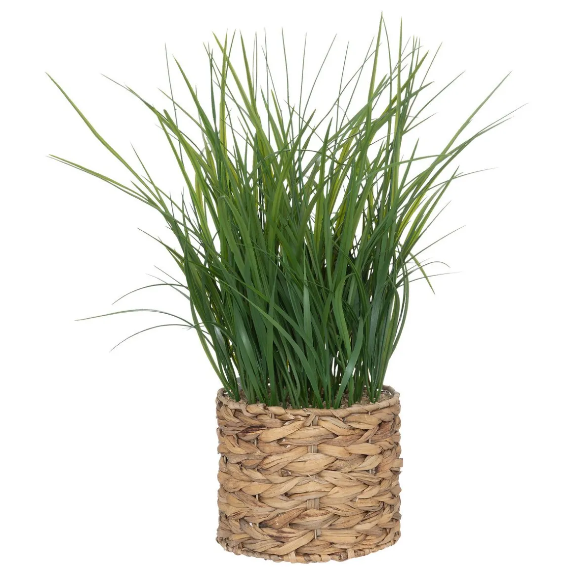 Vaso jacinto com ervas 70cm